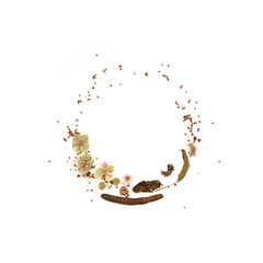 Flowers and leaves . Beautiful autumn wreath composition on white background Photo