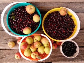 Harvest of berries