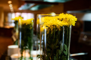 The restaurant in the hotel, several glass vases with beautiful yellow chrysanthemums. Stacks of white plates can be seen in the background. Selective focus. Copy space.