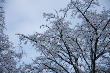 hiver