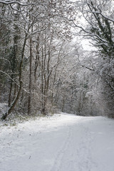 chemins d'hivers
