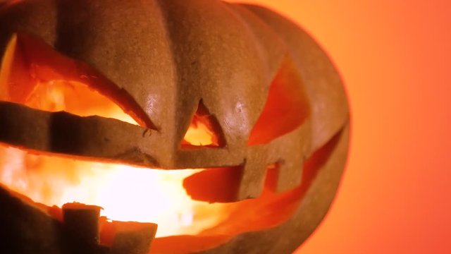 Real halloween pumpkin head