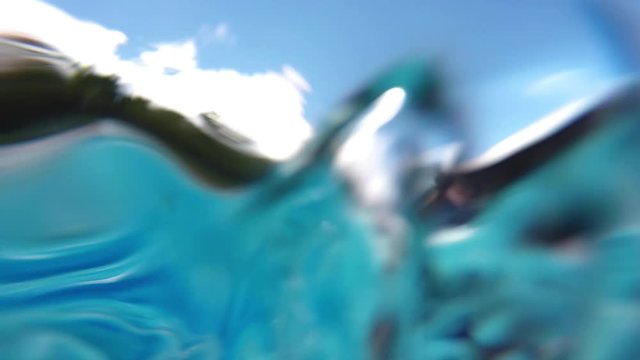 Underwater View Dog Jumping into Pool Doggy Paddling