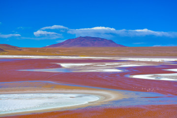 laguna colorada in Bolivia