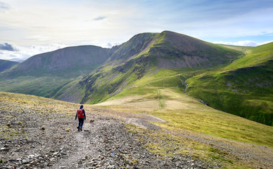Fototapeta premium A hiker and their dog walking along a rugged path on a sunny day towards the summits of Crag Hill, Grasmoor and Sail in the Lake District, England, UK.
