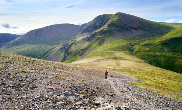 A hiker walking along a rugged rocky path on a sunny day towards the summits of Crag Hill and Sail in the Lake District, England, UK.