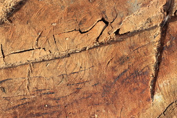 Texture of old rotten brown wood