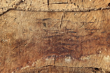 Texture of old rotten brown wood