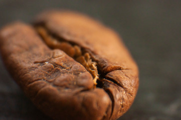 closeup of hand holding coffee beans macro
