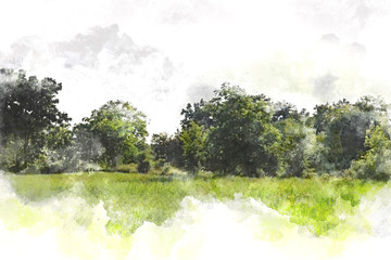 Abstract colorful shape on tree and field landscape watercolor illustration painting background.