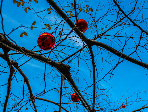 looking up to a treet with christmas decoration and in the background is a  blue sky 