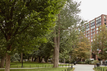 Obraz premium Foliage surrounding Boston Public Garden on a Fall day in the Back Bay neighborhood of Boston, Massachusetts