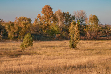 evening by autumn in steppe