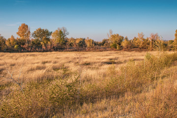 evening by autumn in steppe