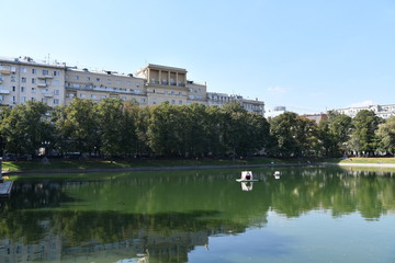 view of the city pond