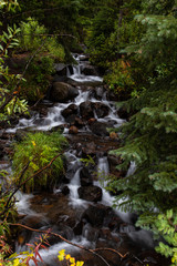 Flowing Stream in the Wyoming High Country