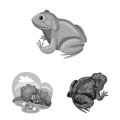 Isolated object of wild and nature icon. Collection of wild and bog stock symbol for web.