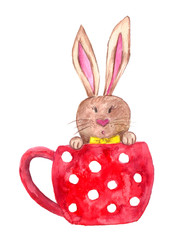 Easter bunny in red cup. Watercolor drawn. Illustration for easter greeting card and decorations.
