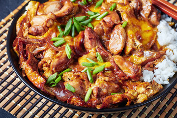 Japanese Chicken and Egg Rice Bowl, top view