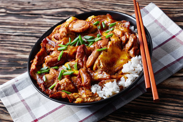 Oyakodon, Japanese Chicken and Egg Rice Bowl