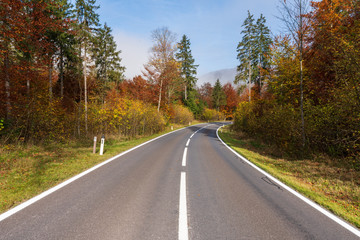 Fototapeta na wymiar Landstraße die durch einen idylischen Wald im Herbst führt
