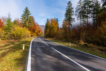Landstraße die durch einen idylischen Wald im Herbst führt