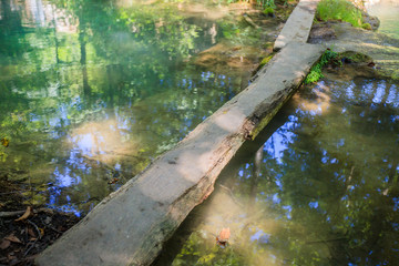 Water spring at summer forest on natural light