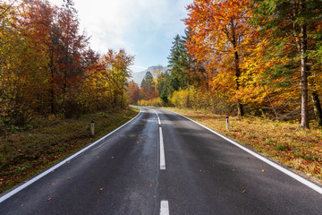 Landstraße die durch einen idylischen Wald im Herbst führt