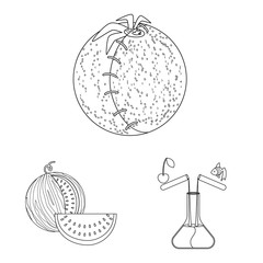Isolated object of genetic and science sign. Collection of genetic and organic vector icon for stock.