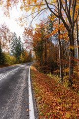 Fototapeta na wymiar Landstraße die durch einen idylischen Wald im Herbst führt