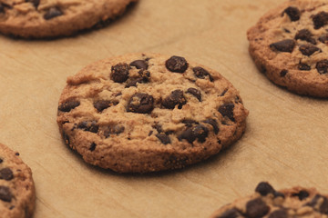 Homemade chocolate cookies on baking paper. Closeup