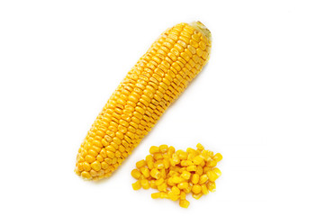 Raw sweet corn cob on white background