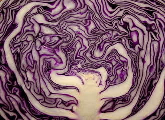 Obraz premium Texture background, very beautiful close up nature lilac cabbage