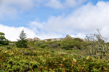 Sheepstor in  Dartmoor National Park, Devon, UK