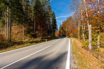 Fototapeta premium Landstraße die durch einen idylischen Wald im Herbst führt