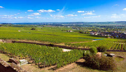 Fototapeta na wymiar View from the Abbey of St. Hildegard over the vineyards to Rüdesheim, founded by Hildegard von Bingen, Benedictine Abbey, Eibingen near Rüdesheim, Diocese of Limburg, Hesse, Germany, Europe