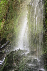 waterfall in the forest