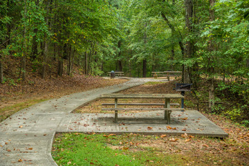 Picnic tables and grills