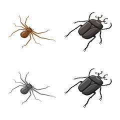 Vector design of nature and wildlife icon. Set of nature and wing stock symbol for web.