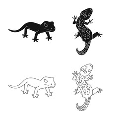 Vector design of tail and fauna sign. Collection of tail and environment vector icon for stock.