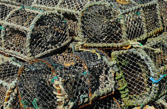 Close up texture image of old lobster cages