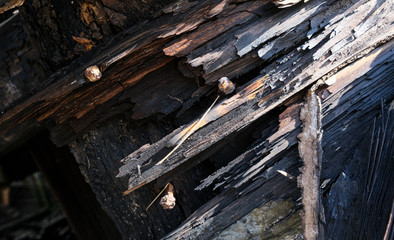 splintered wood with rusty nails close up macro texture