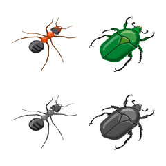Vector illustration of nature and wildlife sign. Collection of nature and wing vector icon for stock.