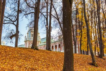 Towers of Grand Palace in Tsaritsyno Park in Moscow against blue sky and yellow fallen leaves on the hillside in sunny autumn day