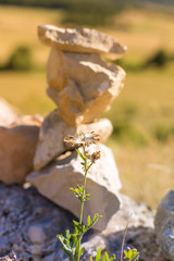 sculpture naturelle de pierre