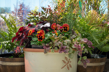 Fototapete bei efototapeten.de bestellen   