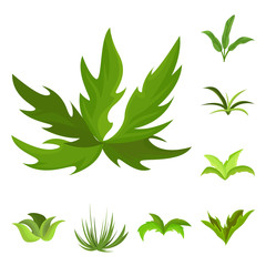Vector design of garden and grass icon. Collection of garden and shrub stock vector illustration.