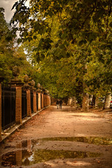  The gardens of the Prince of Aranjuez