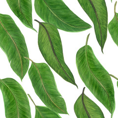 Obraz premium Watercolor painting seamless pattern with exotic palm leaves. Tropical summer background