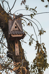birdhouse on tree